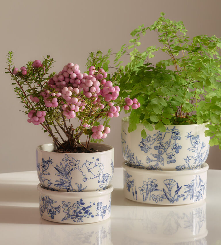 Image without a name