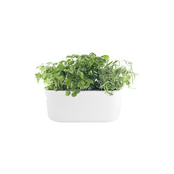 Nordic Kitchen selvvannende herb organiser, hvit, Eva Solo