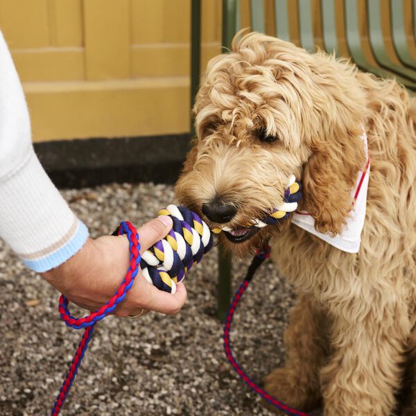 HAY Dogs Strikkleketøy, blue/purple/ochre, HAY