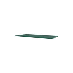 Panton Wire Inlay Shelf, 136 pine, Montana Furniture