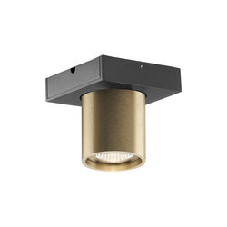 FOCUS 1 Ceiling Spotlight, brass, LIGHT-POINT