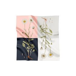 Four Square Daisy Silkeskjerf, Flora Danica Denmark