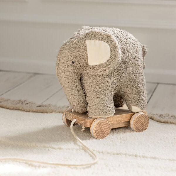 Fanto trekkdyr, grey, Sebra