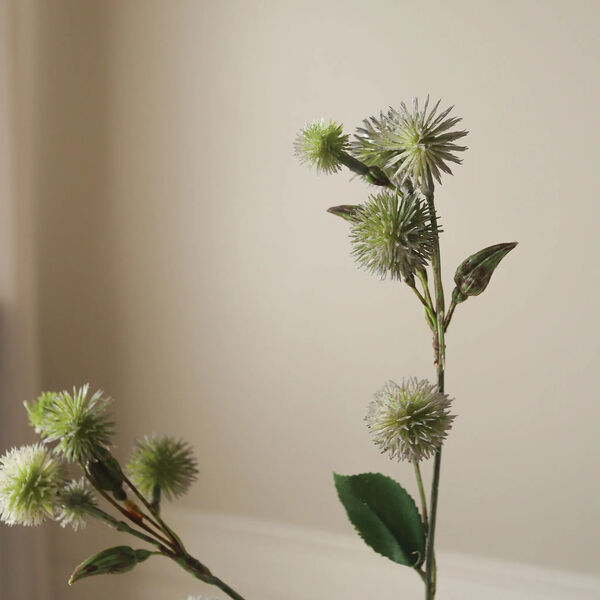 Thistle Ball Branch, grønn, Botané