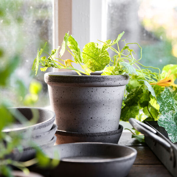 Parade RAW krukke med underfat, grey, Bergs Potter