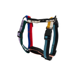 HAY Dogs Harness  | Multi Colour | Hundesele, HAY