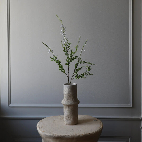 Wild blomst, hvit, Botané