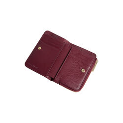 Coccinelle C-ME, ribes, Coccinelle