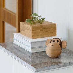 Apeskålen, Spring Copenhagen