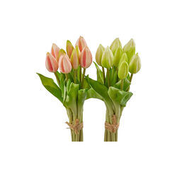 Tulipan bukett 9 stk, green pink, EDG