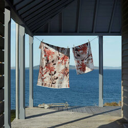 Ilford håndkle, Innate Collection