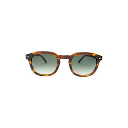 Vance solbriller, walnut, Frank Walton