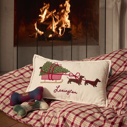 Dog Sleigh Velvet 50x30 pute, white multi, Lexington