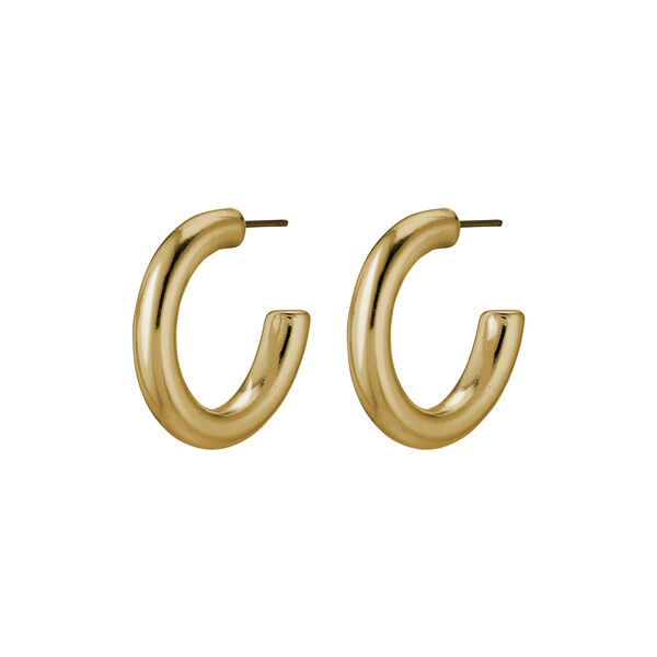 Dolag &oslash;reringer, gold, Pilgrim