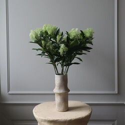 Skimmia Berry Branch, hvit, Botané