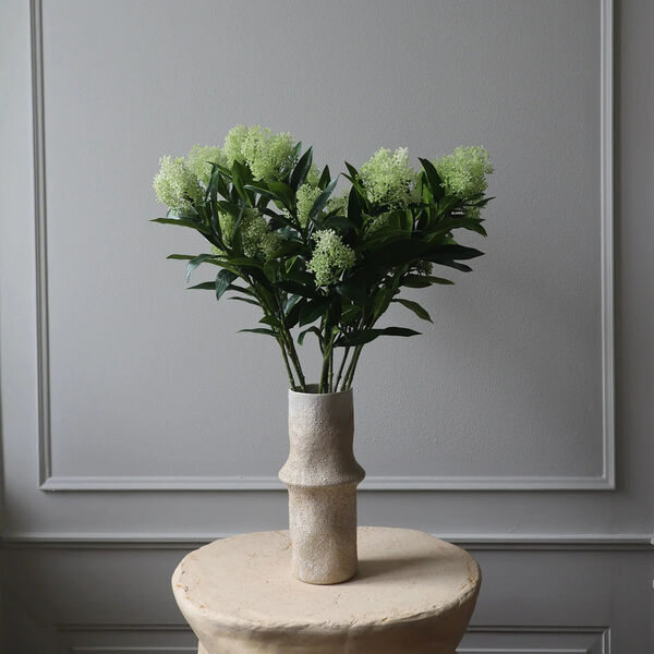 Skimmia Berry Branch, hvit, Botané