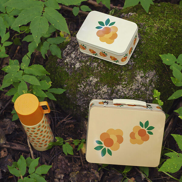 Koffertboks - Multe Koffertboks - Multe, Blafre