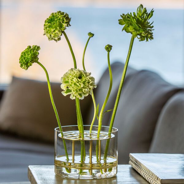 Äng vase liten Äng vase liten, Klong