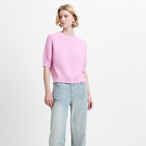 LILY MOZART SHORT SLEEVE KNIT JUMPER, light french pink, French Connection