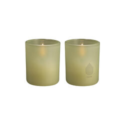 Stearinlys i glass 2-pk, light green leaf, Uyuni Lighting