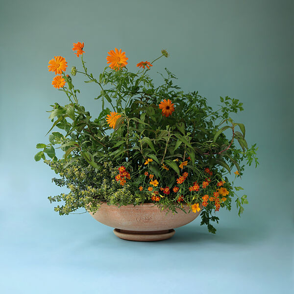 Ada RAW krukke med underfat, rosa, Bergs Potter