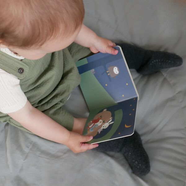 Teddys bok, multi colour, Franck & Fischer