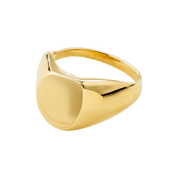 PRESENCE ring, gullbelagt, Pilgrim