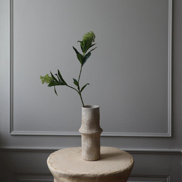 Skimmia Berry Branch, grønn, Botané