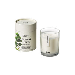 Duftlys, Bonsai Tree, Aery Living