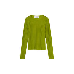 PrecillaRS genser, kiwi, Résumé