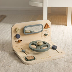 Bilaktivitetspanel, Sebra