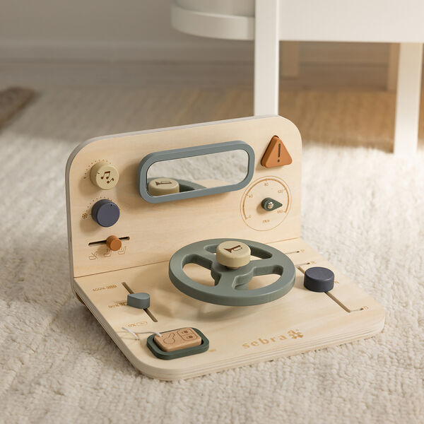 Bilaktivitetspanel, Sebra