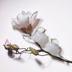 Lucky Bird, white, Magnor