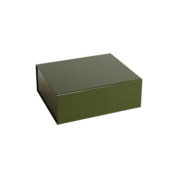 Colour Storage medium, olive, HAY