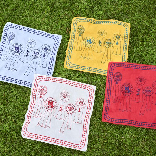 HAY Dogs Skjerf, light blue, HAY