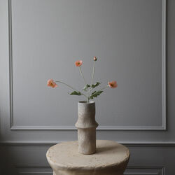 Poppy blomst, korall, Botané