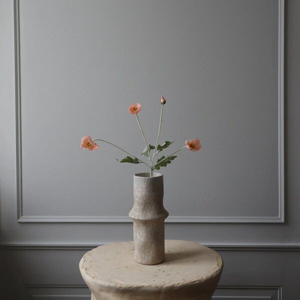 Poppy blomst, korall, Botané