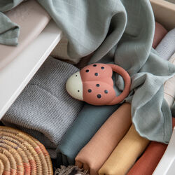 Mariehønen Luca bitering Mariehønen Luca bitering, Sebra