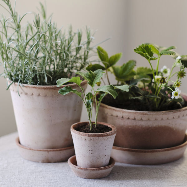 Helena RAW potte med underfat, rosa, Bergs Potter