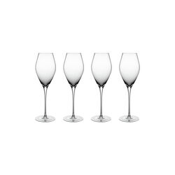 Fryd Champagneglass 4 pk 24 cl, klar, Magnor