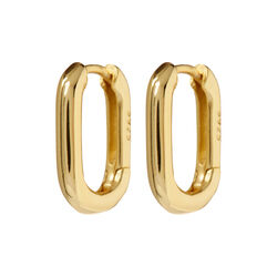 The Chain Link Huggies, gull, Luv Aj