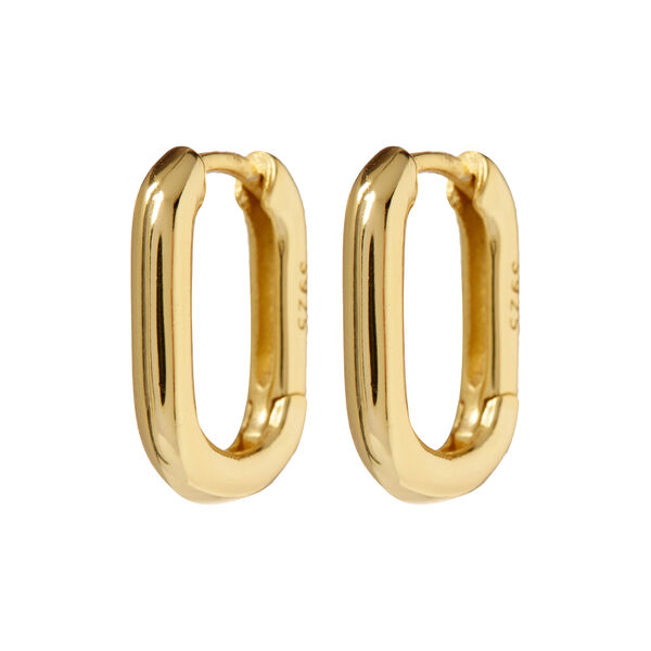 The Chain Link Huggies, gull, Luv Aj