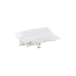 Kiddy babydyne, Ringsted Dun