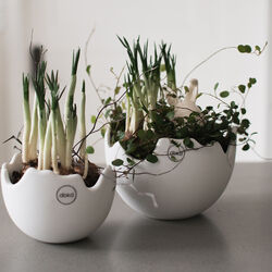 HAPPY EASTER skål small, white, DBKD