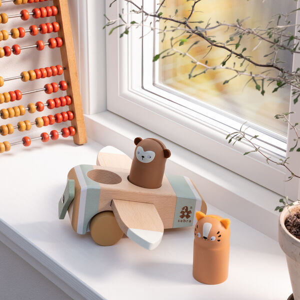 Wildlife Sebra fly, Sebra