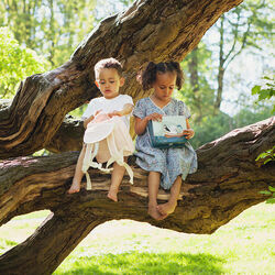 Koffertboks - Lundefugl, Blafre