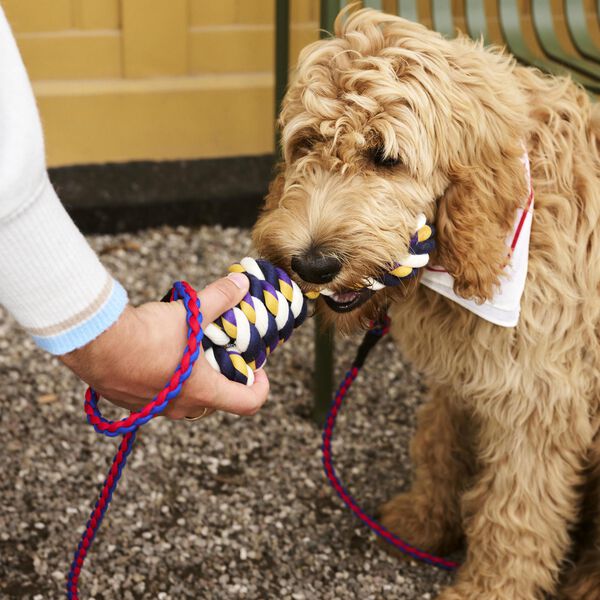 HAY Flettet Hundebånd, red/blue, HAY