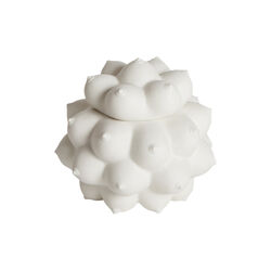 Georgia Orb boks, Jonathan Adler