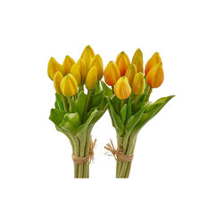 Tulipan bukett 9 stk, yellow, EDG