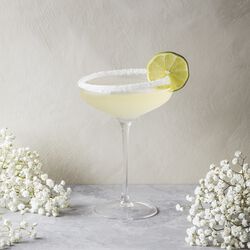 Champagne Coupe champagneglass, Eva Solo